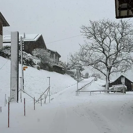 Facing Niederried bei Interlaken