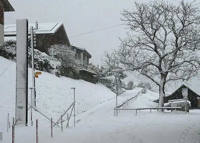 Facing Niederried bei Interlaken