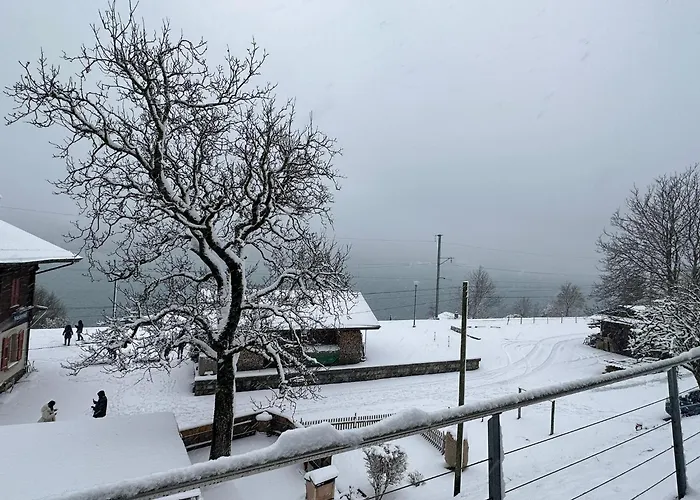 Lejlighed Facing Niederried bei Interlaken